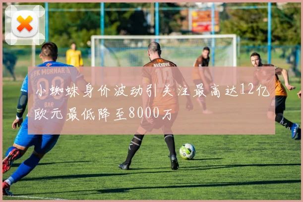 小蜘蛛身价波动引关注最高达12亿欧元最低降至8000万